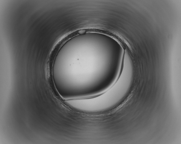 X0000116511069200912161334