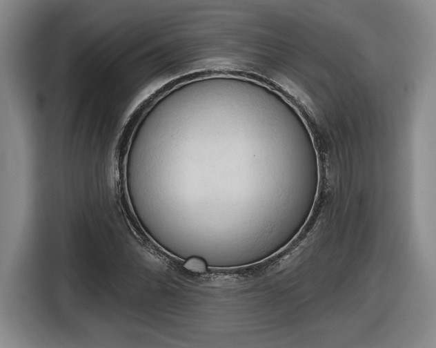 X0000116511070200912161334