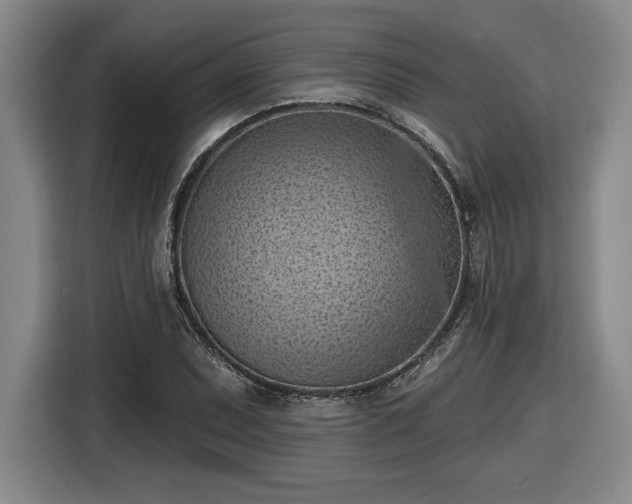 X0000116511071200912161334