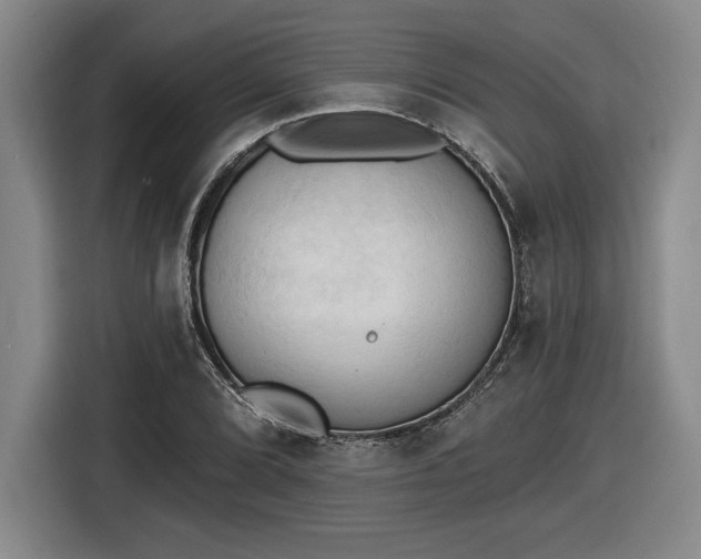 X0000116511072200912161334