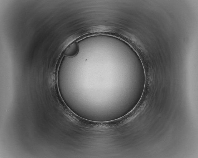 X0000116511073200912161334