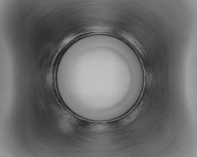 X0000116511074200912161334