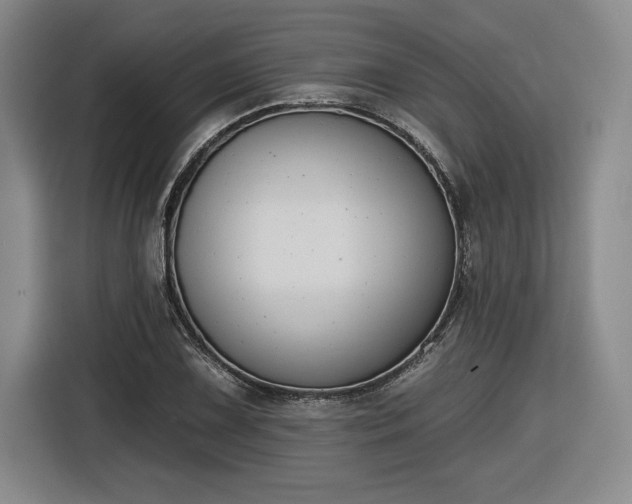 X0000116511075200912161334