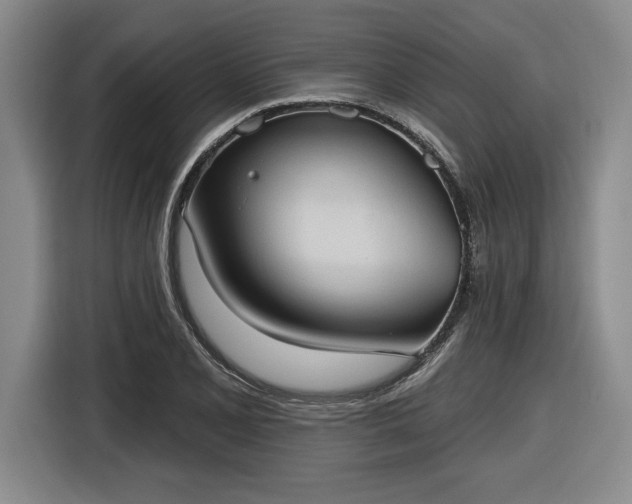 X0000116511077200912161334