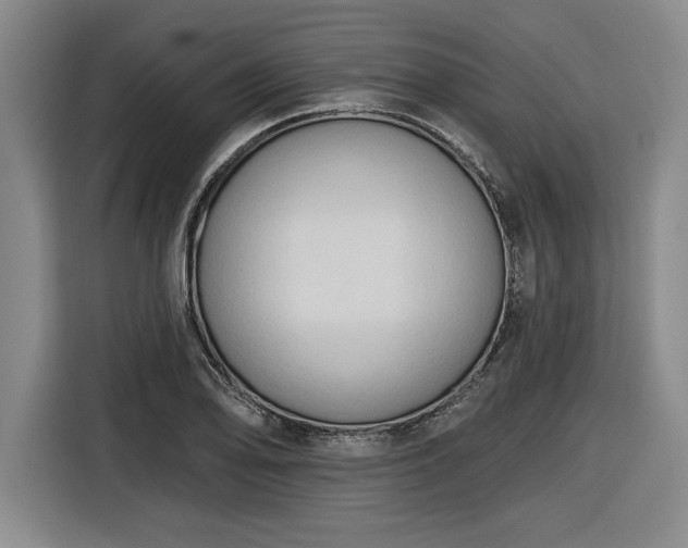 X0000116511078200912161334