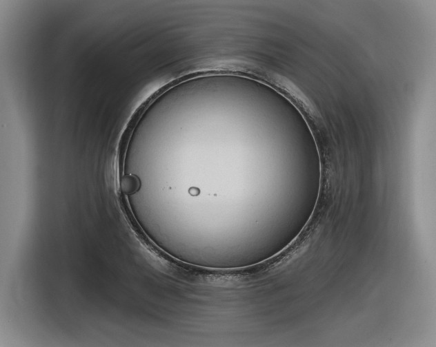 X0000116511079200912161334