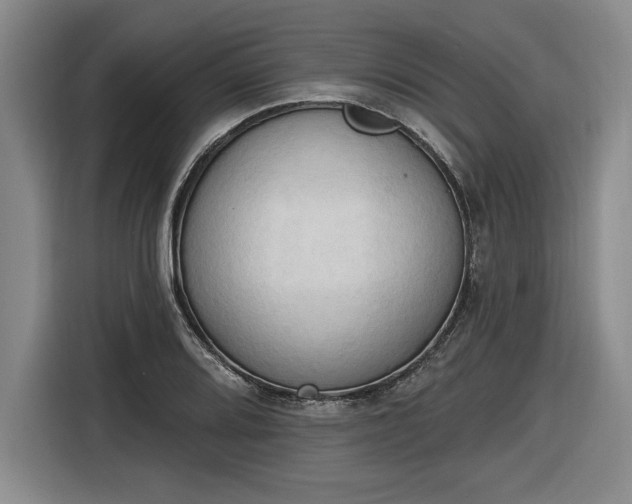 X0000116511080200912161334