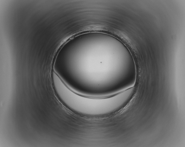 X0000116511081200912161334