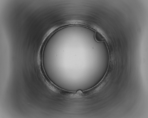 X0000116511082200912161334