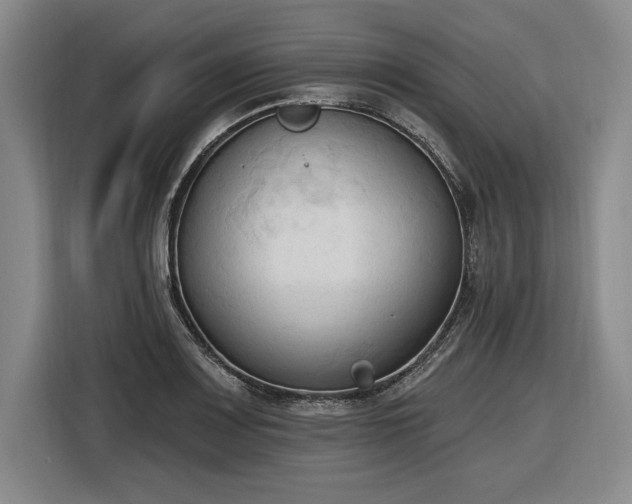 X0000116511083200912161334