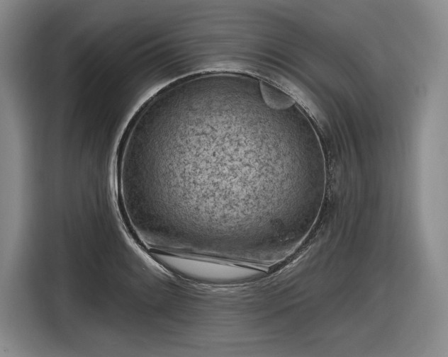 X0000116511084200912161334