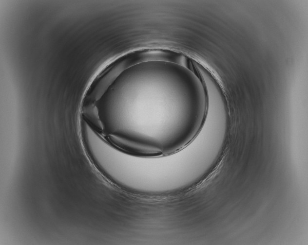 X0000116511085200912161334