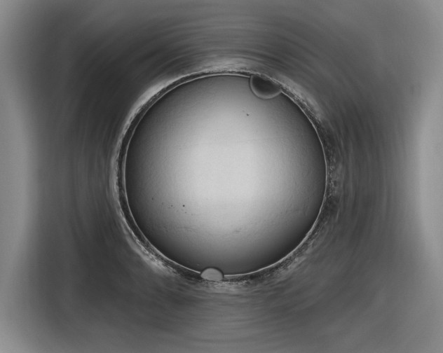 X0000116511086200912161334