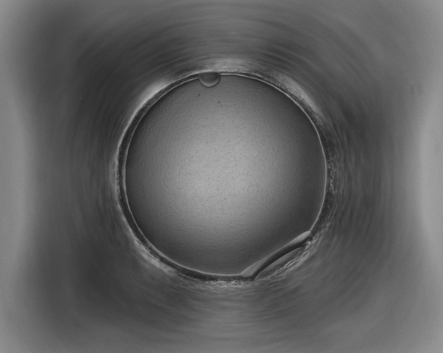 X0000116511087200912161334