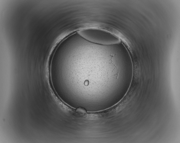 X0000116511088200912161334