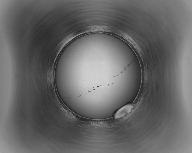 X0000116511089200912161334