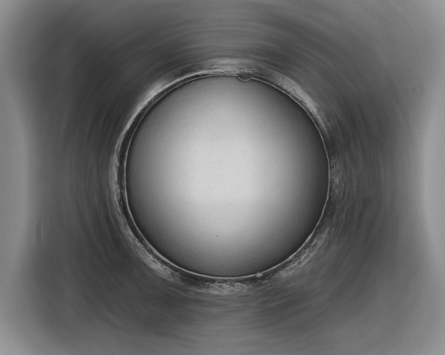 X0000116511091200912161334