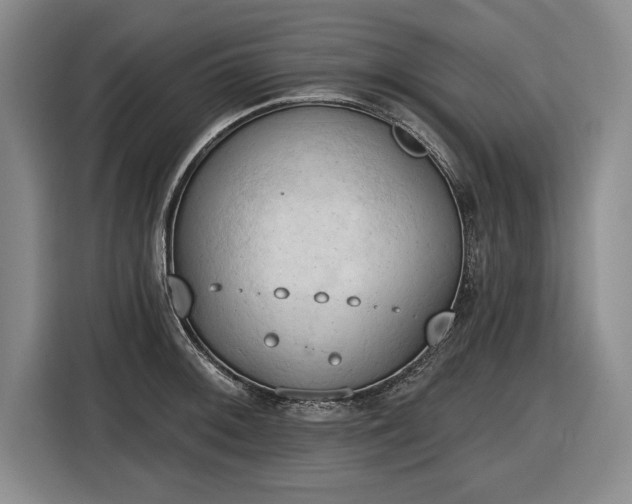 X0000116511092200912161334