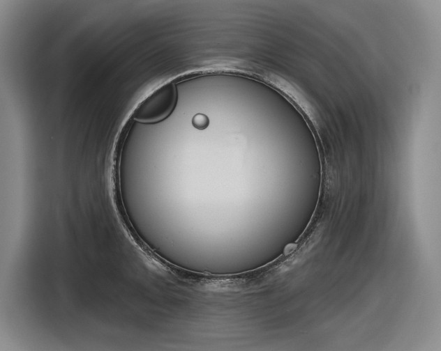 X0000116511093200912161334