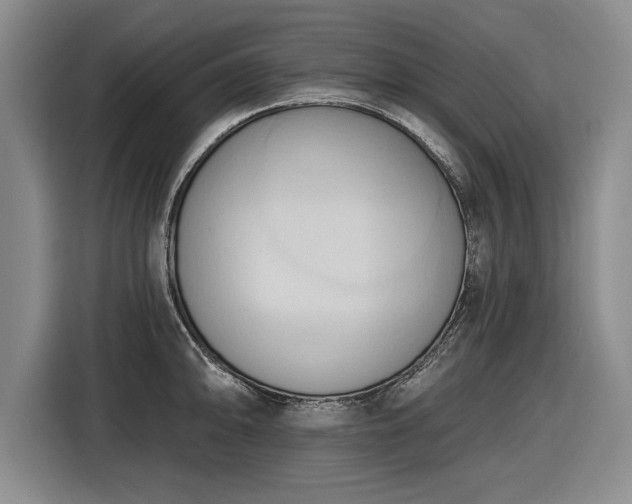 X0000116511094200912161334