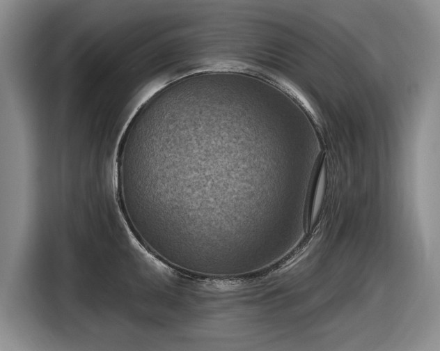 X0000116511095200912161334