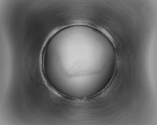 X0000116511096200912161334