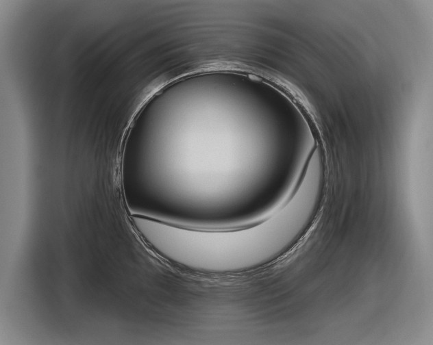 X0000116511097200912161334