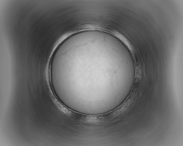 X0000116511098200912161334