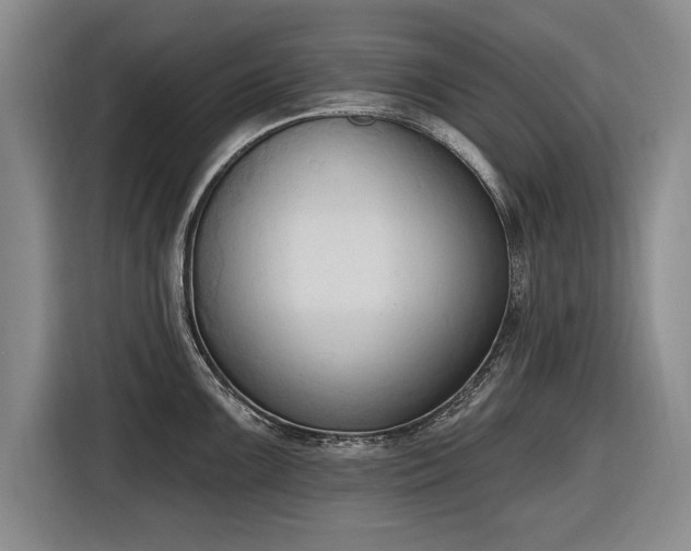 X0000116511099200912161334