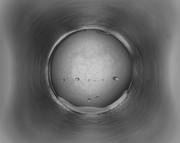 X0000116511100200912161334