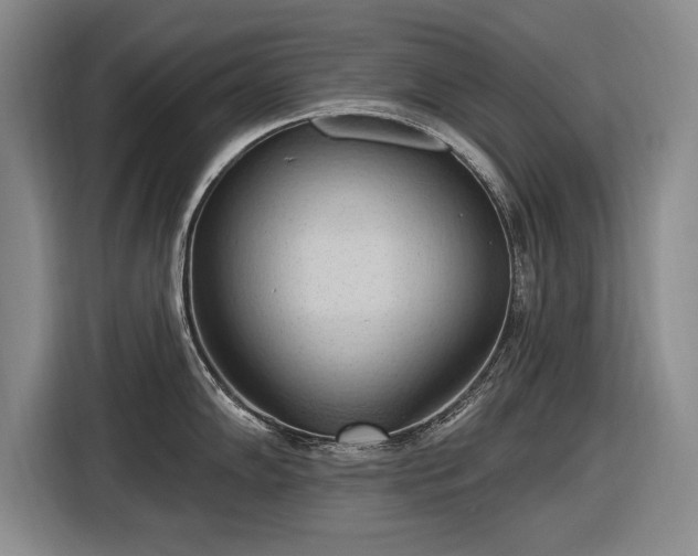 X0000116511102200912161334