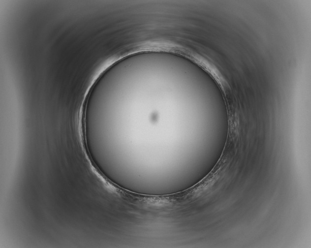 X0000116511103200912161333