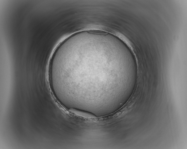 X0000116511104200912161333