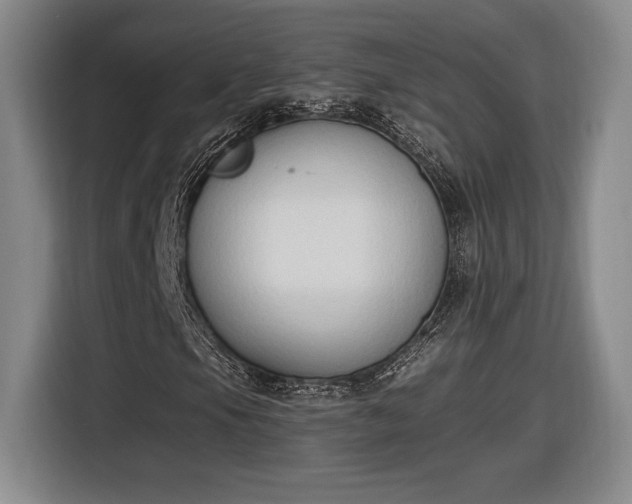 X0000116511105200912161333