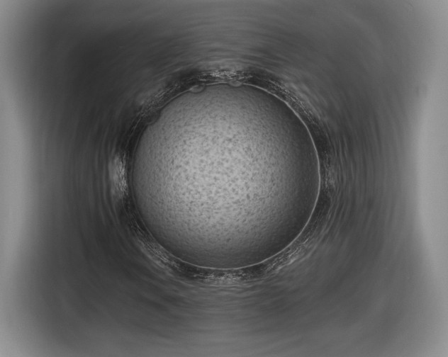 X0000116511106200912161333