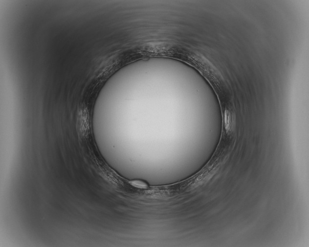 X0000116511107200912161333