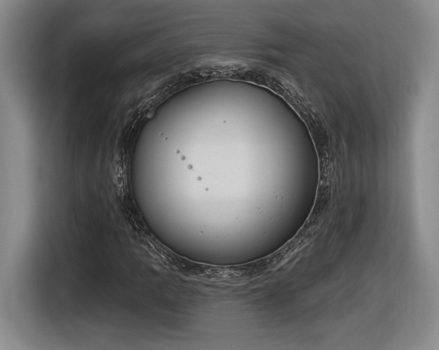 X0000116511109200912161333