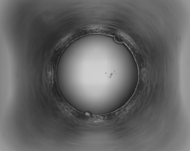 X0000116511111200912161333