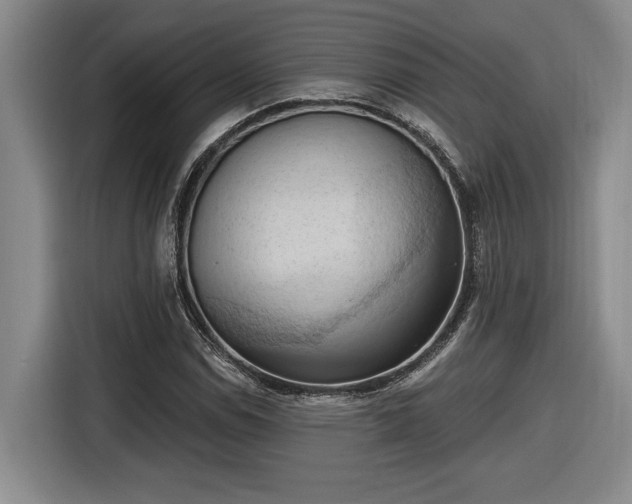 X0000116511114200912161333