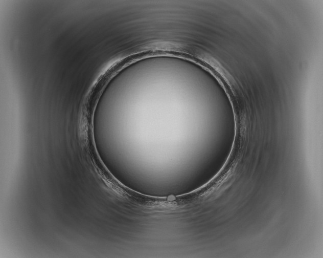 X0000116511115200912161333