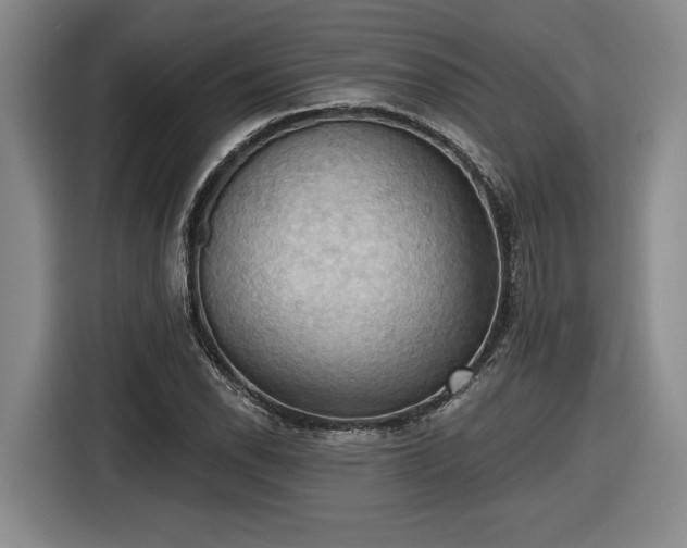 X0000116511118200912161333