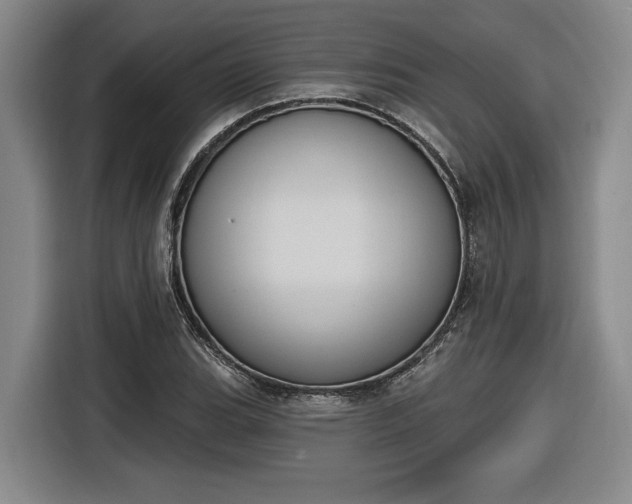 X0000116511119200912161333