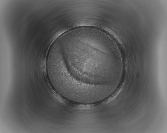 X0000116511121200912161333