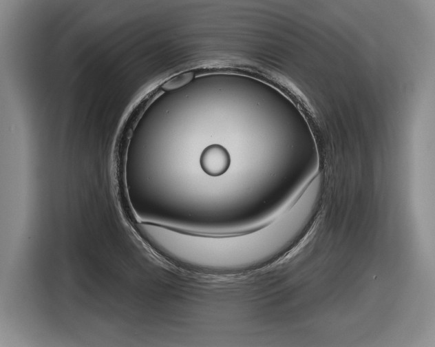 X0000116511122200912161333