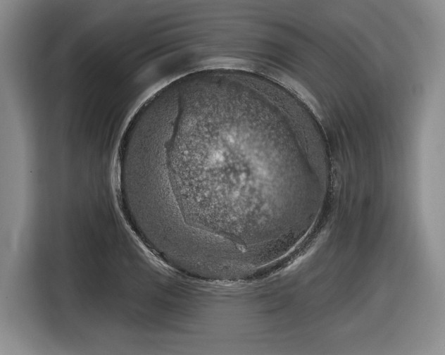 X0000116511125200912161333