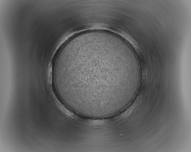 X0000116511126200912161333