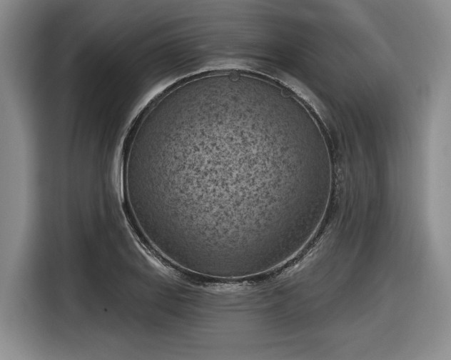 X0000116511127200912161333