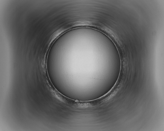 X0000116511129200912161333