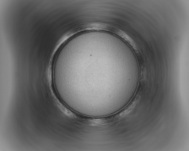 X0000116511130200912161333