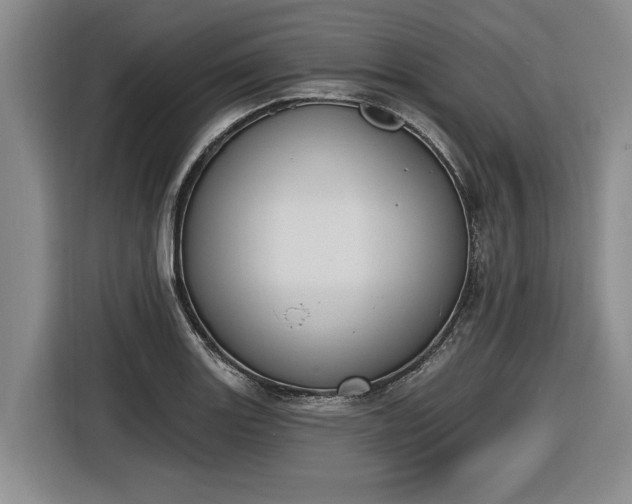 X0000116511131200912161333